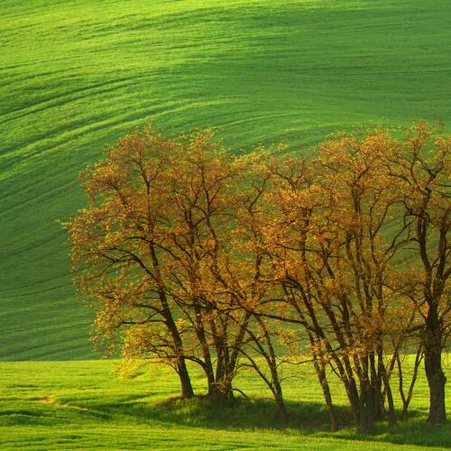 สมาชิกหมายเลข 4521657