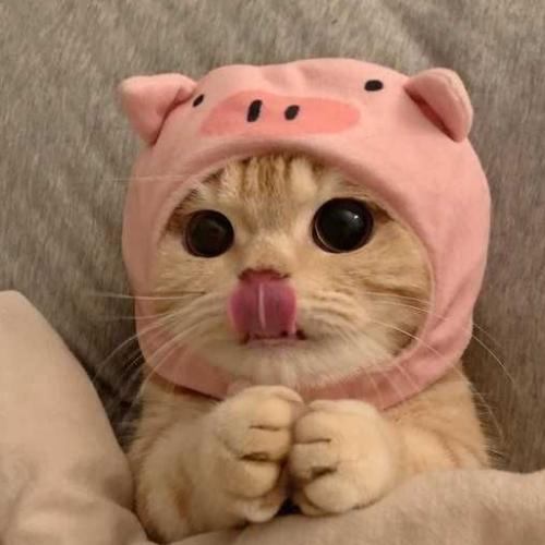 สมาชิกหมายเลข 6471205