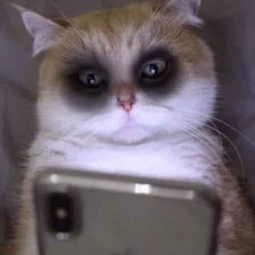 สมาชิกหมายเลข 1691415