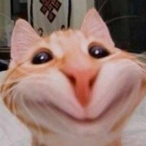 สมาชิกหมายเลข 6802332