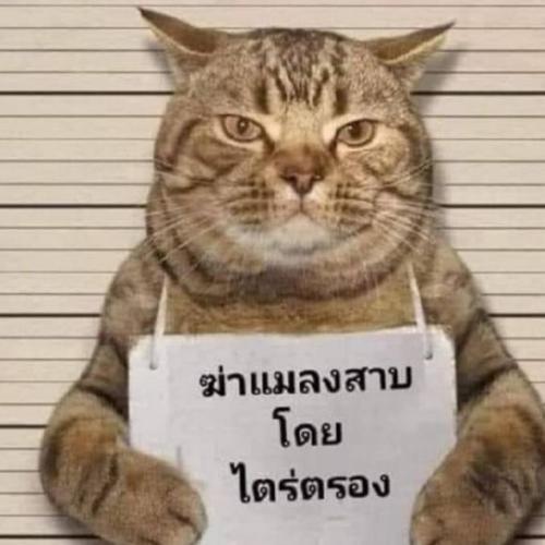 สมาชิกหมายเลข 7159691