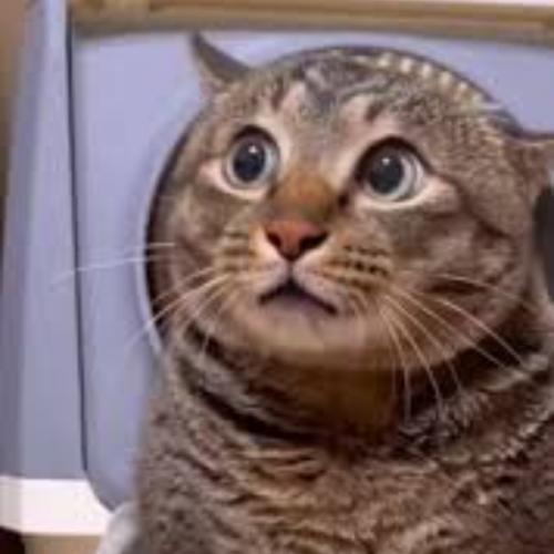 สมาชิกหมายเลข 7433665