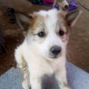 สมาชิกหมายเลข 4981865