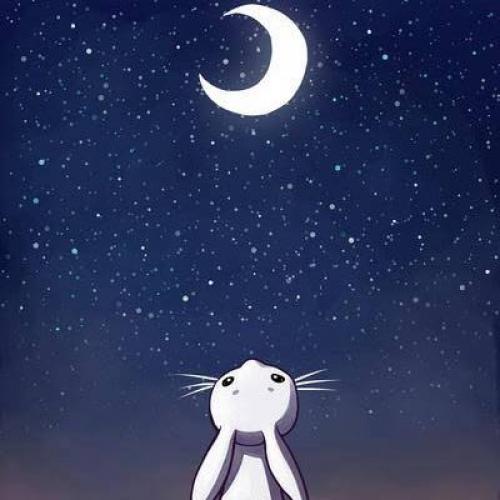 สมาชิกหมายเลข 3151953