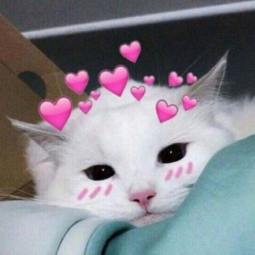 สมาชิกหมายเลข 5376666