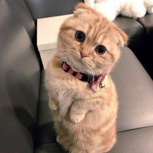 สมาชิกหมายเลข 5376695