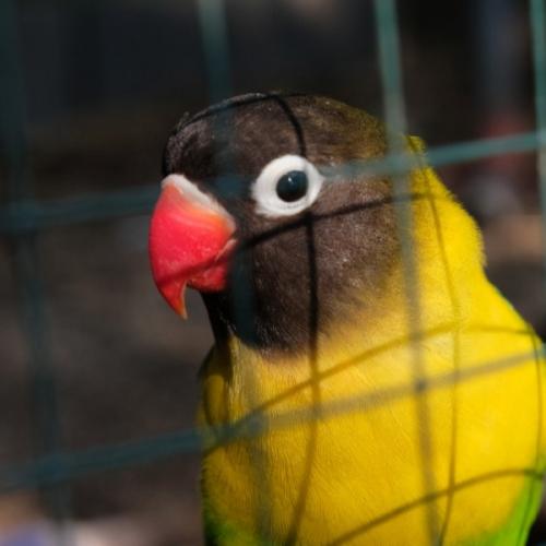 สมาชิกหมายเลข 3800079