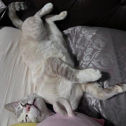 สมาชิกหมายเลข 1026599