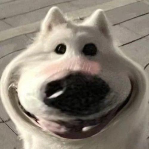 สมาชิกหมายเลข 7976747