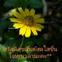 สมาชิกหมายเลข 3146896
