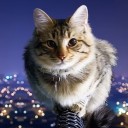 สมาชิกหมายเลข 4235434