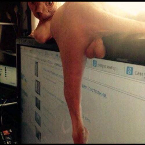 สมาชิกหมายเลข 4624628