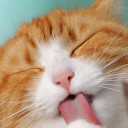 สมาชิกหมายเลข 1250684