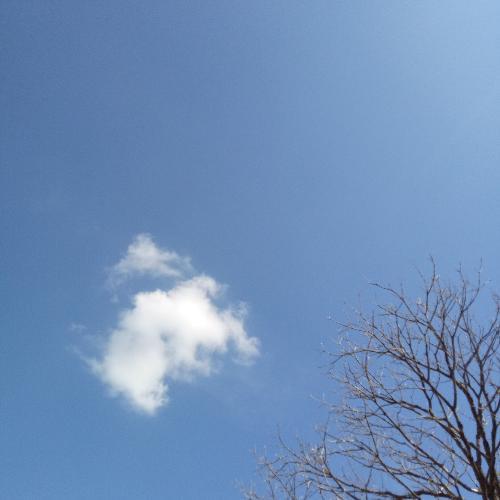 สมาชิกหมายเลข 5374493