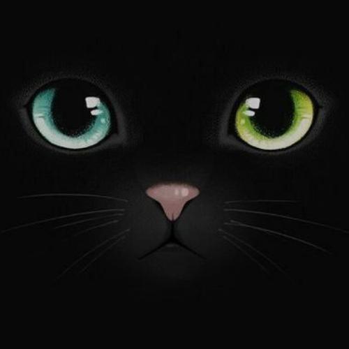 สมาชิกหมายเลข 5377009