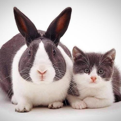 สมาชิกหมายเลข 1595007