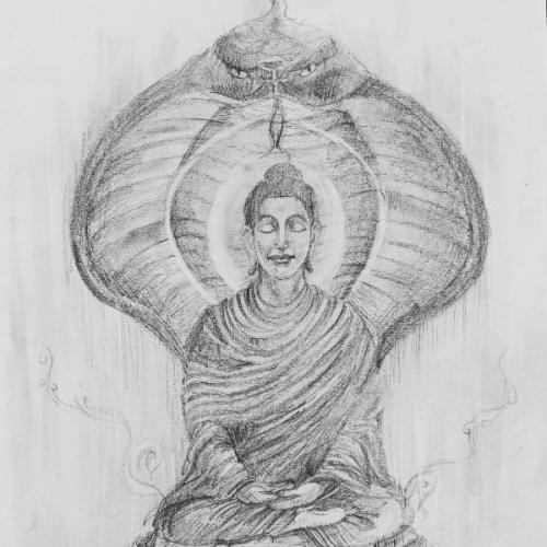 สมาชิกหมายเลข 5871752