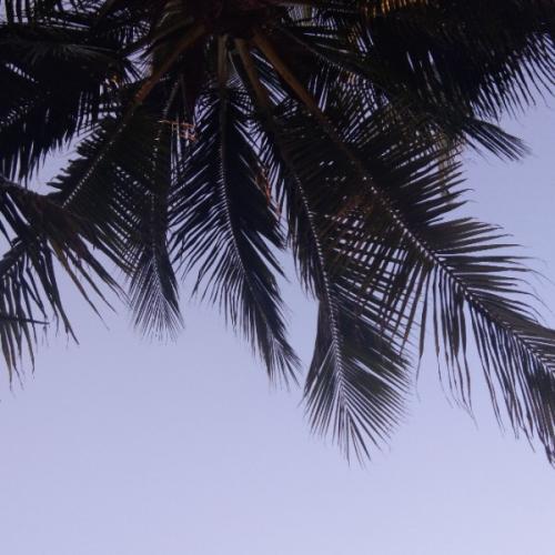 สมาชิกหมายเลข 5872452