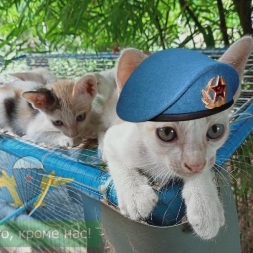 สมาชิกหมายเลข 6468397