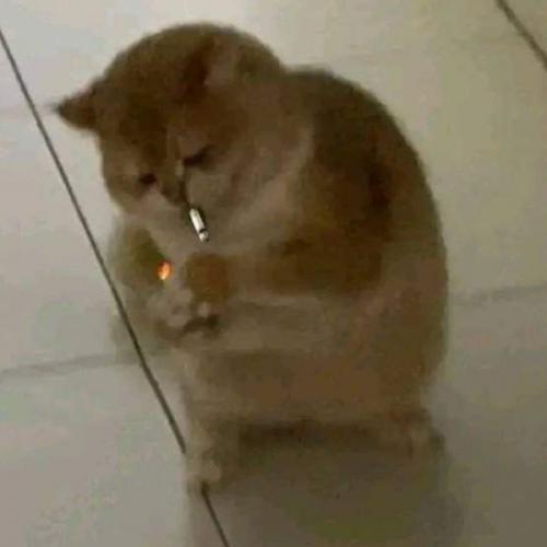 สมาชิกหมายเลข 7193457