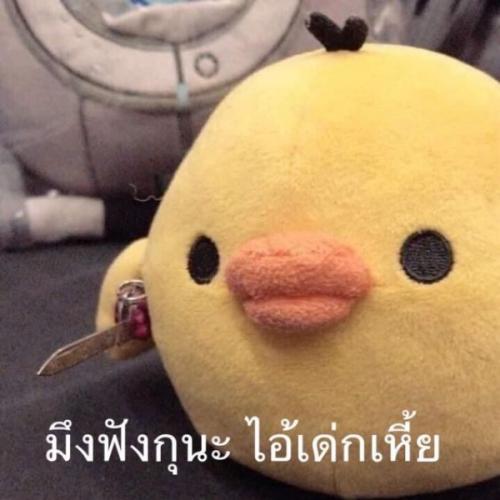 สมาชิกหมายเลข 7961492