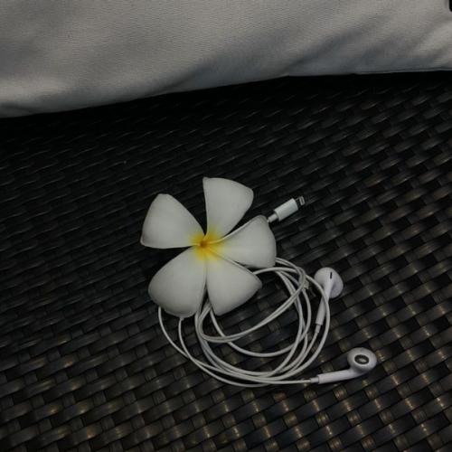 สมาชิกหมายเลข 7294491