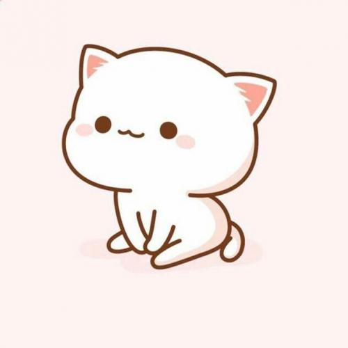 สมาชิกหมายเลข 4982542