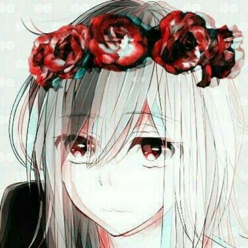 สมาชิกหมายเลข 4982676