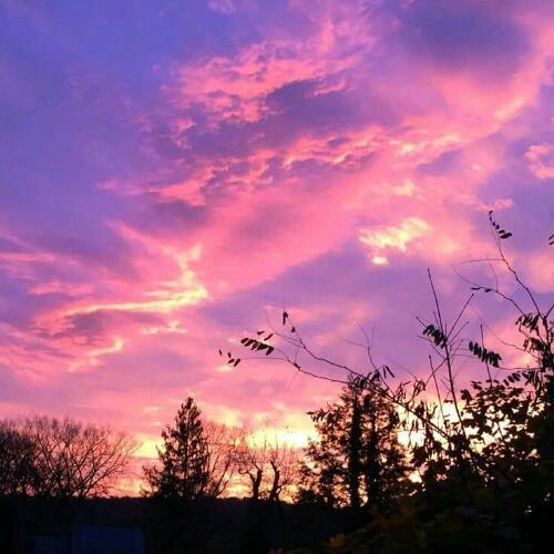 สมาชิกหมายเลข 4982677