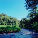 สมาชิกหมายเลข 1405356