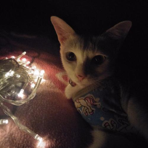 สมาชิกหมายเลข 5284552