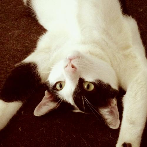 สมาชิกหมายเลข 5668378