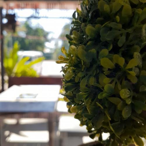 สมาชิกหมายเลข 5865198