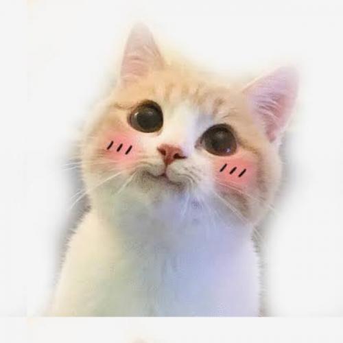 สมาชิกหมายเลข 5873257