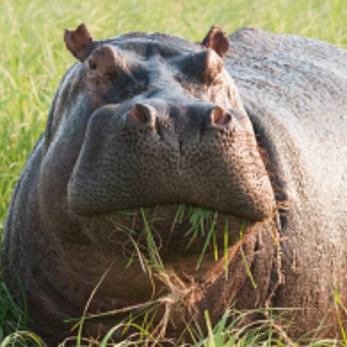 สมาชิกหมายเลข 2698238