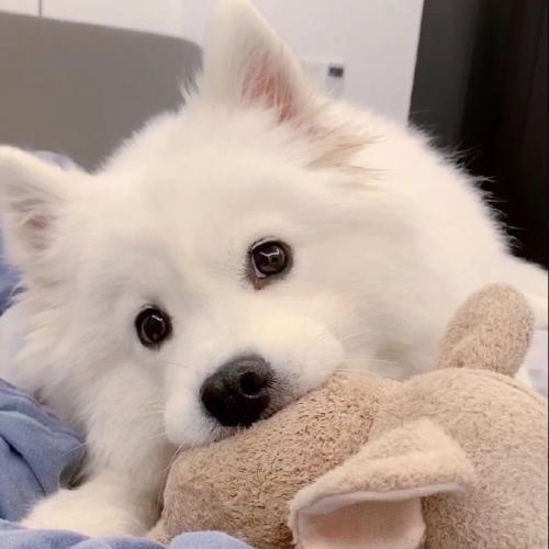 สมาชิกหมายเลข 6870972