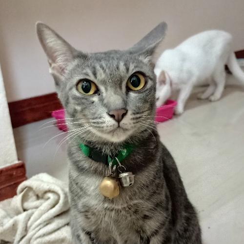 สมาชิกหมายเลข 7978804