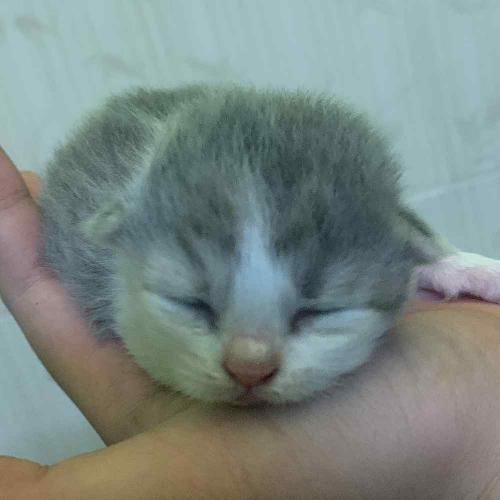 สมาชิกหมายเลข 6093049