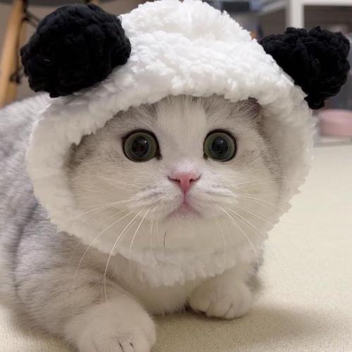 สมาชิกหมายเลข 9004237