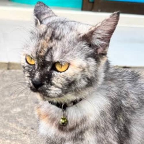 สมาชิกหมายเลข 9004845