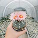 สมาชิกหมายเลข 3966644