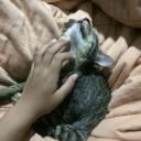 สมาชิกหมายเลข 4236412