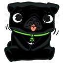 สมาชิกหมายเลข 807135