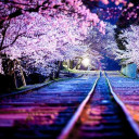 อยากเที่ยวไปเรื่อยๆๆ