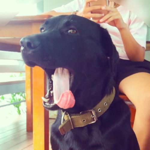 สมาชิกหมายเลข 4625698