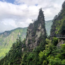 ดาริน วราฤทธิ์