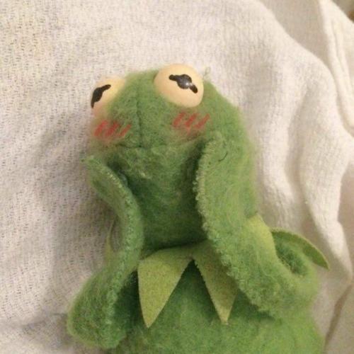 สมาชิกหมายเลข 4982968