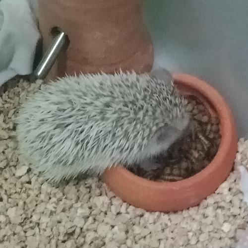 สมาชิกหมายเลข 4983136