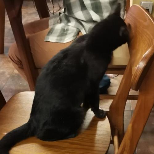 สมาชิกหมายเลข 3140719