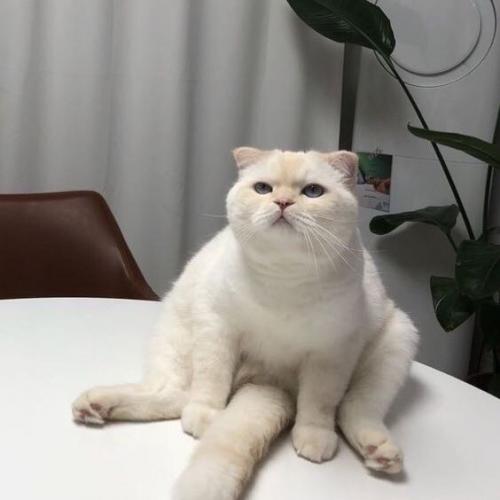 สมาชิกหมายเลข 3346973